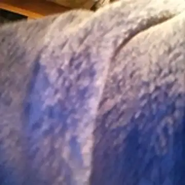 Snapshot of amarrabrown2024 chatting on October 2025 06:46:02 AM amarrabrown2024 online show from October 2025 06:46:02 AM