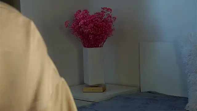 Snapshot of LowOncoming chatting on February 2025 08:06:01 AM LowOncoming online show from February 2025 08:06:01 AM