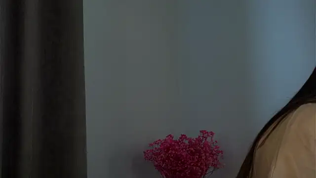 Snapshot of LowOncoming chatting on February 2025 06:09:02 AM LowOncoming online show from February 2025 06:09:02 AM