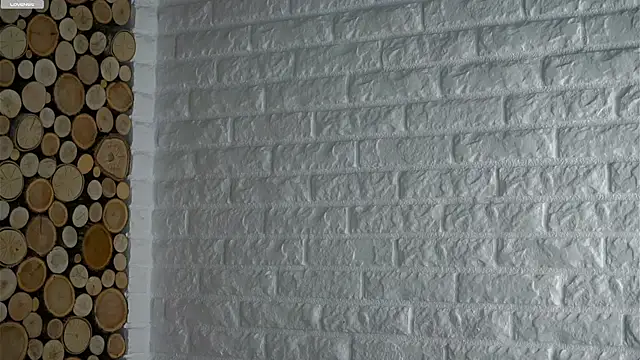 Snapshot of LowOncoming chatting on December 2025 02:05:02 AM LowOncoming online show from December 2025 02:05:02 AM