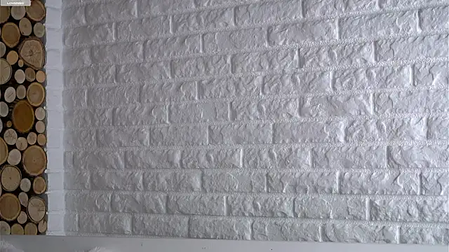 Snapshot of LowOncoming chatting on March 2026 01:10:01 AM LowOncoming online show from March 2026 01:10:01 AM