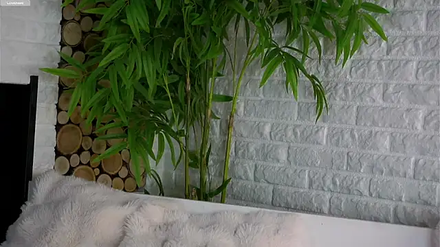 Snapshot of LowOncoming chatting on March 2026 01:55:01 AM LowOncoming online show from March 2026 01:55:01 AM