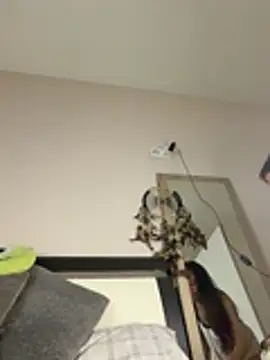 Snapshot of SOFIASWEETSECRETT chatting on March 2026 04:28:02 PM SOFIASWEETSECRETT online show from March 2026 04:28:02 PM