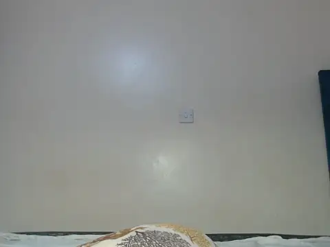 Snapshot of nanaswee chatting on March 2026 04:11:02 PM nanaswee online show from March 2026 04:11:02 PM