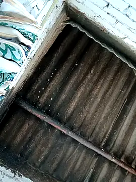 Lukas strong online show from October 2025 06:38:02 PM