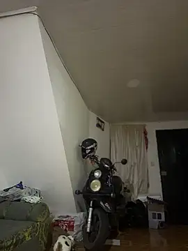 Emiily lee online show from March 2026 09:14:01 AM