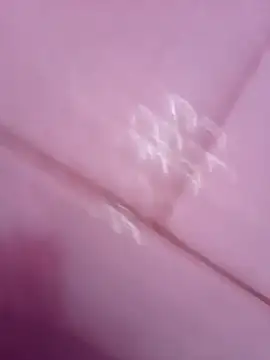 sokrates13 online show from January 2025 11:10:02 AM