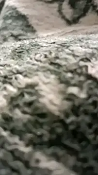 sokrates13 online show from January 2025 07:38:01 PM