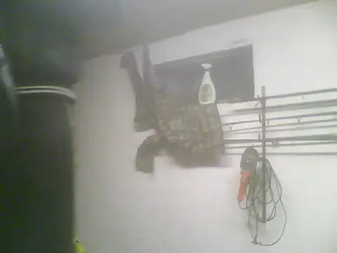 Rejtelmesest online show from February 2025 05:24:01 PM