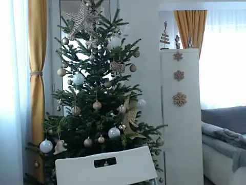 GoldenMark online show from December 2024 12:05:01 PM