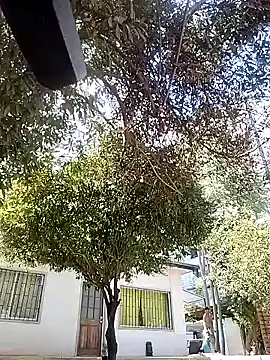 mikythompson online show from February 2025 04:04:01 PM