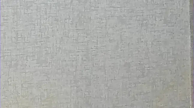 Ricardogo19 online show from March 2025 02:37:02 AM