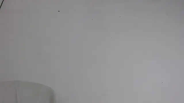 Niurca01  online show from October 2025 10:51:02 PM