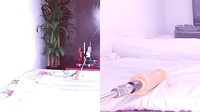 Sophia Lovers01 online show from December 2025 09:20:01 PM