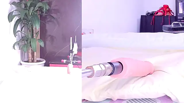 Sophia Lovers01 online show from March 2026 08:37:01 PM