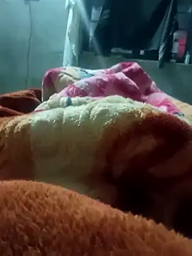 rjxraj online show from March 2026 04:11:02 PM