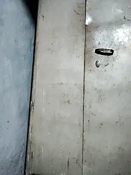 Snapshot of Hey_Ziya chatting on November 2025 11:10:01 PM Hey Ziya online show from November 2025 11:10:01 PM