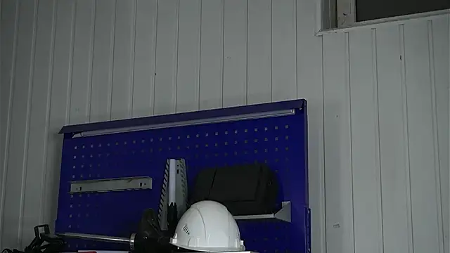 dustyn fox online show from February 2026 03:19:01 PM