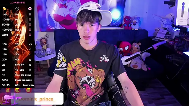 DominicPrince online show from November 2025 10:34:02 PM