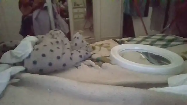 Snapshot of biuv chatting on November 2025 11:11:01 AM biuv online show from November 2025 11:11:01 AM