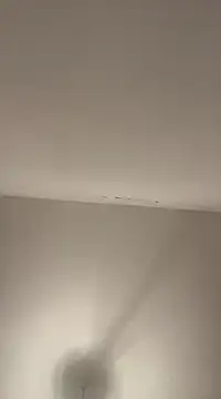 Snapshot of petan33 chatting on December 2024 07:41:02 PM petan33 online show from December 2024 07:41:02 PM