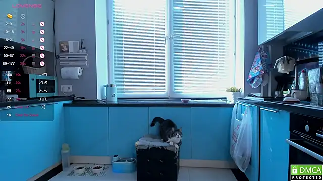 Snapshot of wwildfox chatting on March 2026 05:44:01 AM wwildfox online show from March 2026 05:44:01 AM