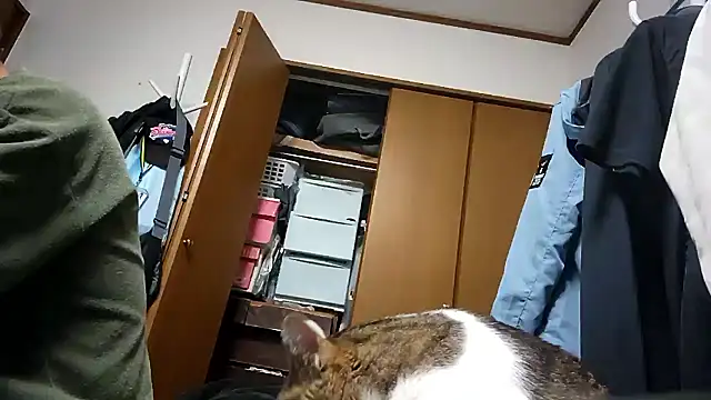 07YUKIO online show from April 2026 12:10:01 PM