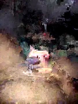 Snapshot of Zenfox24 chatting on April 2026 11:43:01 AM Zenfox24 online show from April 2026 11:43:01 AM