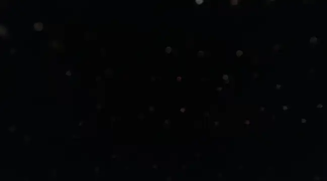 Snapshot of ysabel_sanchez4 chatting on February 2025 01:42:01 AM ysabel sanchez4 online show from February 2025 01:42:01 AM