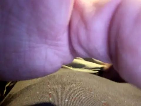 Snapshot of stavroun chatting on December 2025 04:10:02 AM stavroun online show from December 2025 04:10:02 AM