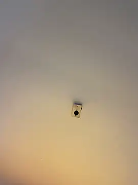 Andricastro online show from February 2025 09:53:02 PM