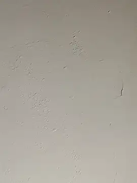 cazaperdidas online show from September 2025 05:58:02 PM