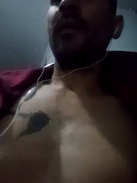 cazaperdidas online show from October 2025 02:48:02 AM