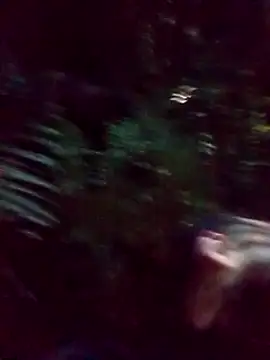 Snapshot of mis312 chatting on March 2025 02:36:01 AM mis312 online show from March 2025 02:36:01 AM