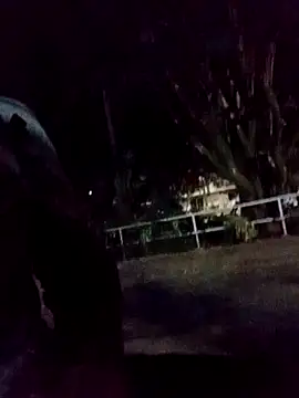 Snapshot of mis312 chatting on September 2025 03:06:02 AM mis312 online show from September 2025 03:06:02 AM