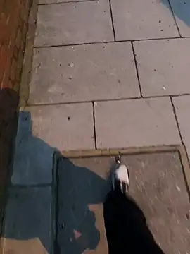 Snapshot of XMenX24 chatting on March 2025 06:36:01 PM XMenX24 online show from March 2025 06:36:01 PM