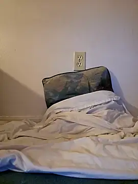 Snapshot of jorwee chatting on December 2024 06:11:02 AM jorwee online show from December 2024 06:11:02 AM