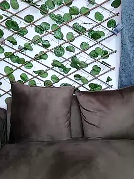 Snapshot of Bold-Cat chatting on December 2024 11:07:01 PM Bold-Cat online show from December 2024 11:07:01 PM