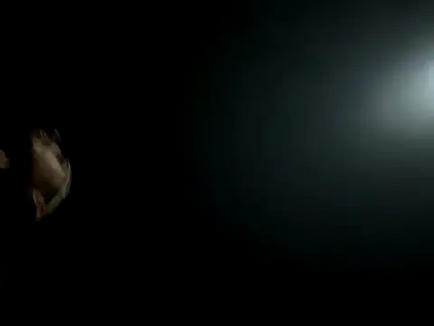 kevinsito1 online show from November 2025 06:23:02 AM