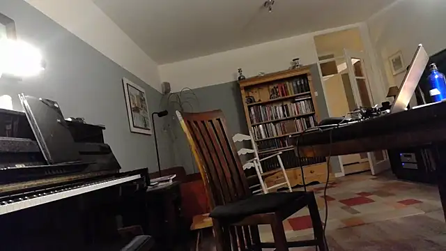 Snapshot of RolfS chatting on March 2026 10:10:01 PM RolfS online show from March 2026 10:10:01 PM