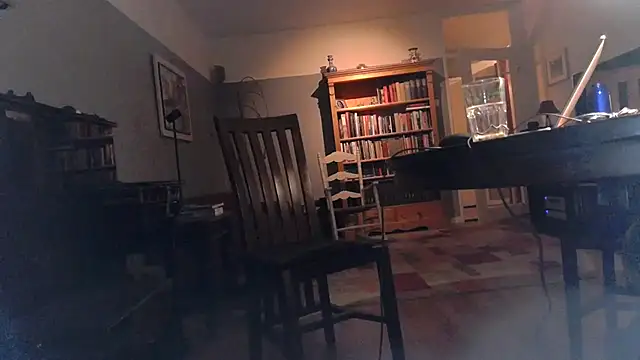 Snapshot of RolfS chatting on April 2026 10:47:01 PM RolfS online show from April 2026 10:47:01 PM