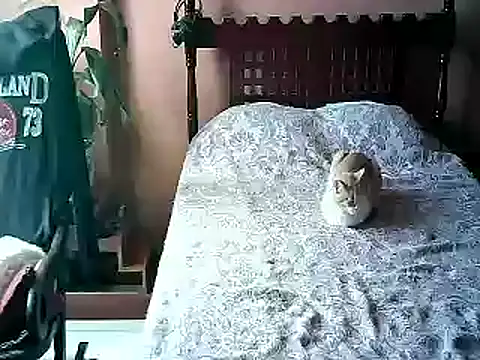 2mgars online show from January 2026 04:11:01 PM