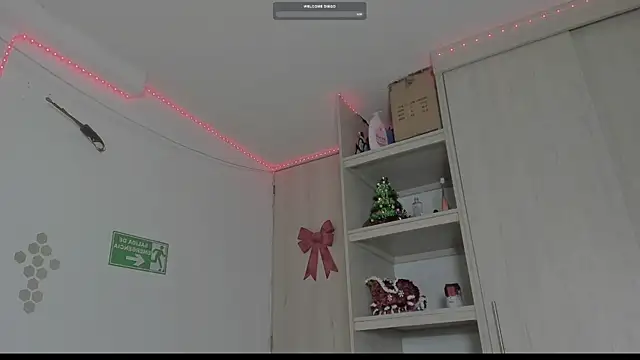 Snapshot of _diegsz_ chatting on January 2025 09:55:02 AM diegsz online show from January 2025 09:55:02 AM