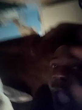 stephbig777 online show from November 2025 03:17:01 AM