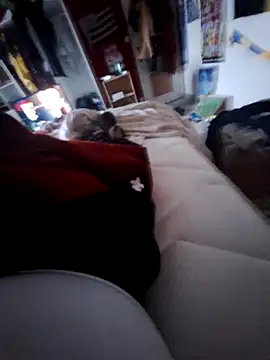 thefrenchhogan29 online show from February 2025 04:07:01 PM