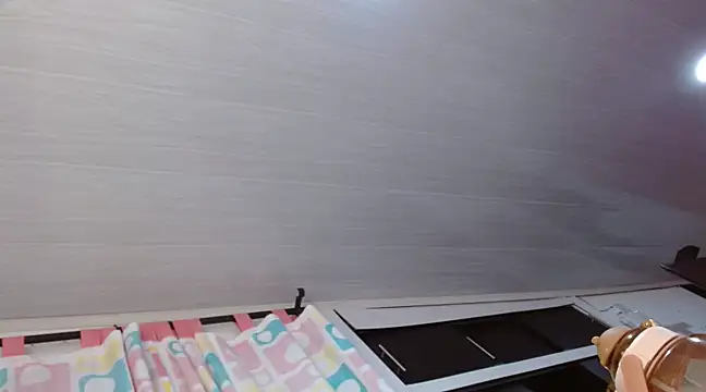 Snapshot of Manusomer chatting on February 2025 04:29:01 AM Manusomer online show from February 2025 04:29:01 AM