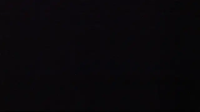 JANER 03 online show from January 2025 03:58:01 PM