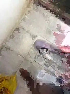 133pipi online show from April 2026 11:04:02 AM