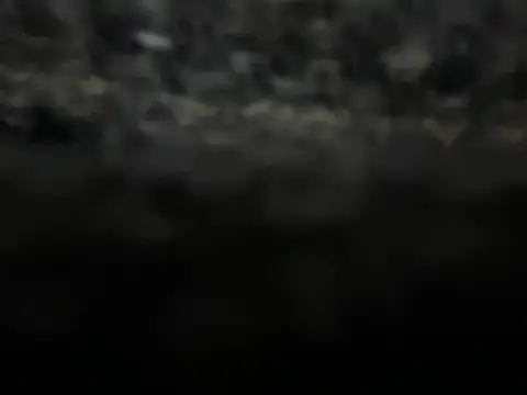 Snapshot of _my_ass_ chatting on February 2025 10:00:01 PM  my ass  online show from February 2025 10:00:01 PM