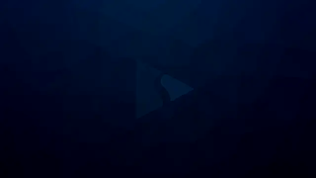 silerta online show from December 2024 12:32:02 AM